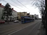 Rostock Straßenbahnlinie 6 mit Niederflurgelenkwagen 684 auf Rosa-Luxemburg-Str. (2015)