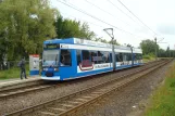 Rostock Zusätzliche Linie 2 mit Niederflurgelenkwagen 659 am Kurt-Schumacher-Ring (2015)