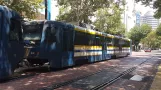 Sacramento Straßenbahnlinie Blau mit Gelenkwagen 218 am St. Rose of Lima Park (2021)