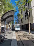 San Jose Blue Line (901) mit Niederflurgelenkwagen 972 am San Antonio (2024)