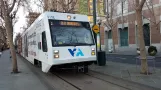 San Jose Green Line (902) mit Niederflurgelenkwagen 919 vor South 1st Street (2021)