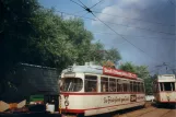 Schönberger Strand Triebwagen 241 auf Museumsbahnen (1997)