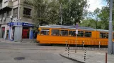 Sofia Straßenbahnlinie 22 mit Gelenkwagen 4239 auf bul. "Yanko Sakazov" (2014)