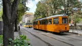Sofia Straßenbahnlinie 22 mit Gelenkwagen 4239 auf bul. "Yanko Sakazov", von hinten gesehen (2014)