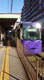 Tokio Toei Streetcar Arakawa Line mit Triebwagen 8806 am Gakushuinshita (2017)
