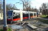 Wien Straßenbahnlinie 1 mit Niederflurgelenkwagen 3 am Prater Hauptallee (2010)
