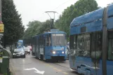 Zagreb Zusätzliche Linie 3 mit Gelenkwagen 343nah Park Maksimir (2008)