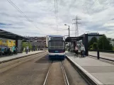 Zürich Straßenbahnlinie 11 am Glattpark (2020)