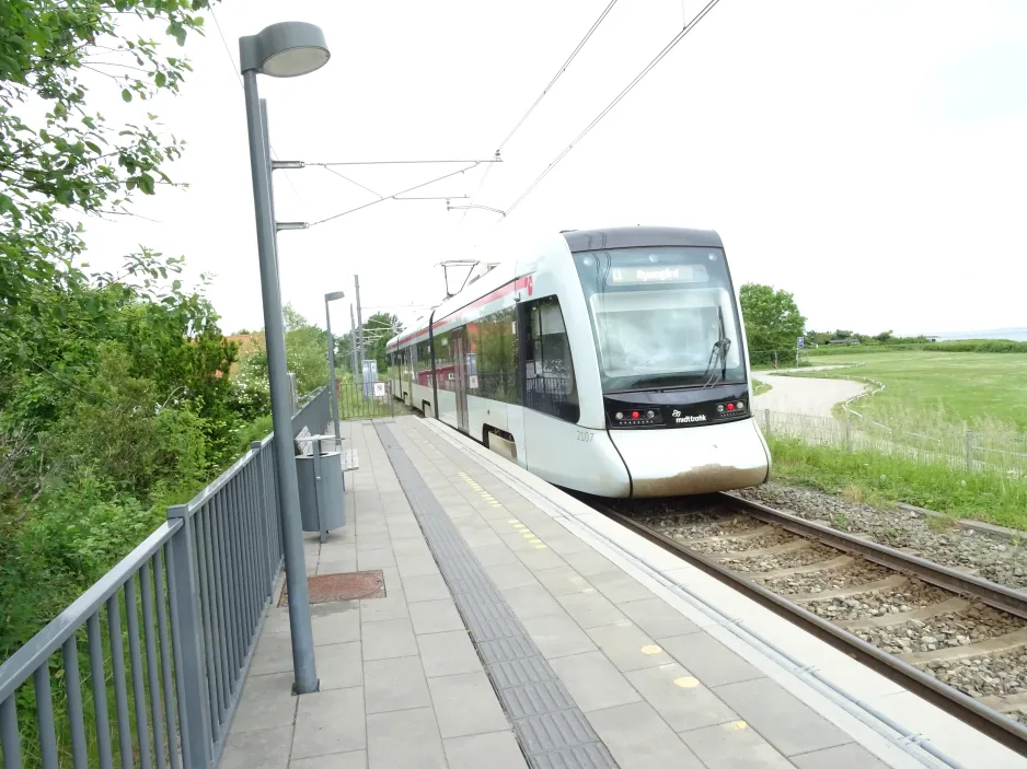 Aarhus Stadtbahn Linie L1 mit Niederflurgelenkwagen 2107-2207 am Risskov Strandpark (2024)