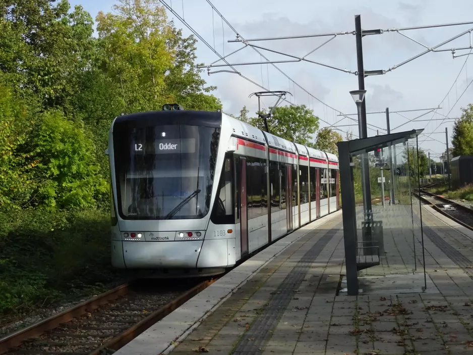 Aarhus Stadtbahn Linie L2 mit Niederflurgelenkwagen 1103-1203 am Assedrup (2021)