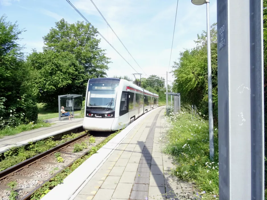 Aarhus Stadtbahn Linie L2 mit Niederflurgelenkwagen 2105-2205 am Mølleparken (2021)