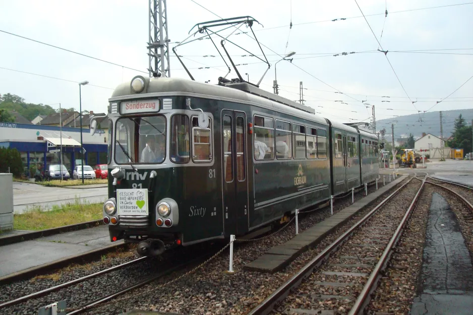 Bad Dürkheim Eventfahrzeuge mit Hochzeitstram 81 "Sixty" am Rhein-Haardtbahn,  Mannheimer Straße (2014)