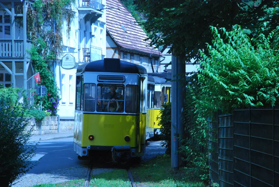 Bad Schandau Kirnitzschtal 241 mit Beiwagen 21 auf Kirnitzschtalstraße, Bad Schandau (2015)