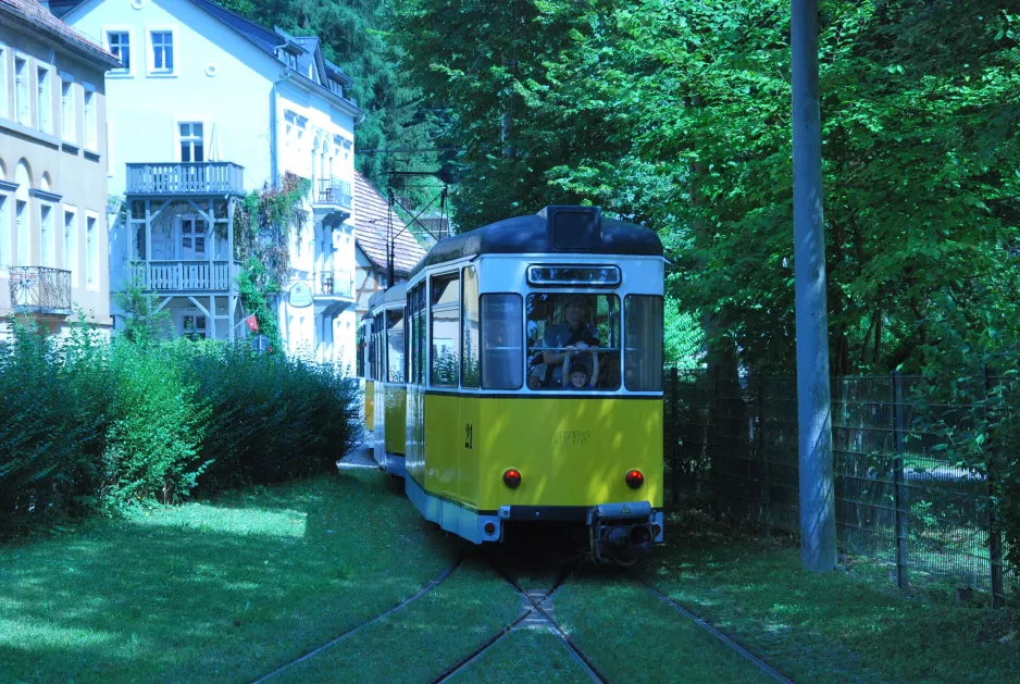 Bad Schandau Kirnitzschtal 241 mit Beiwagen 21, die Rückseite Kurpark (2015)