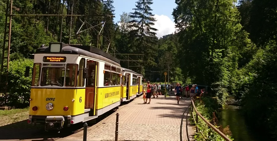 Bad Schandau Kirnitzschtal 241 mit Triebwagen 6 am Kurpark (2015)