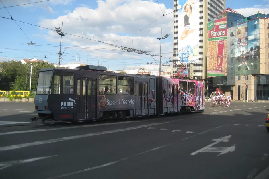 Beograd Straßenbahnlinie 2 mit Gelenkwagen 214 auf Trg Slavija (2008)