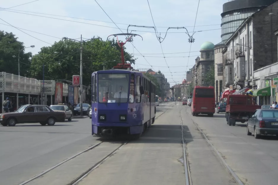 Beograd Straßenbahnlinie 9 mit Gelenkwagen 388 am Ekonomski Fakultet (2008)