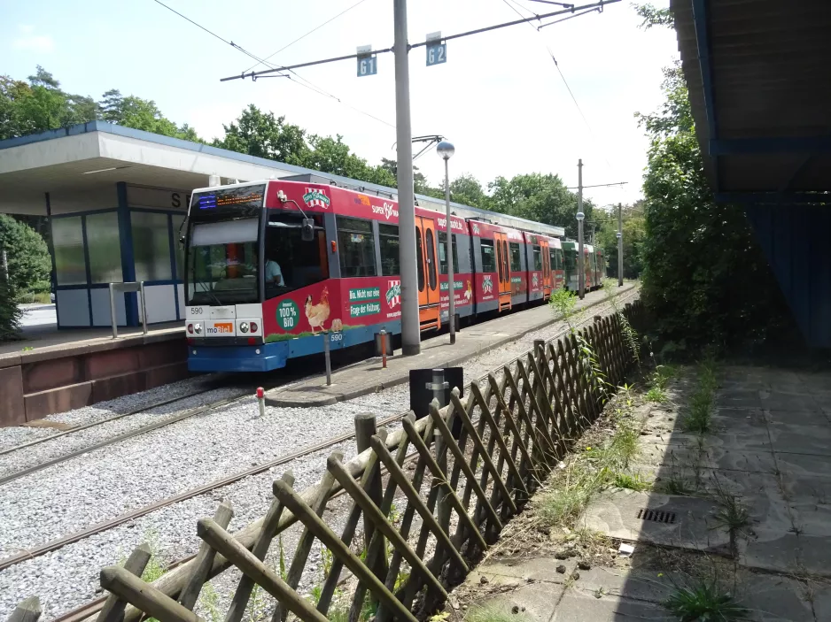 Bielefeld Straßenbahnlinie 1 mit Gelenkwagen 590 am Senne (2022)