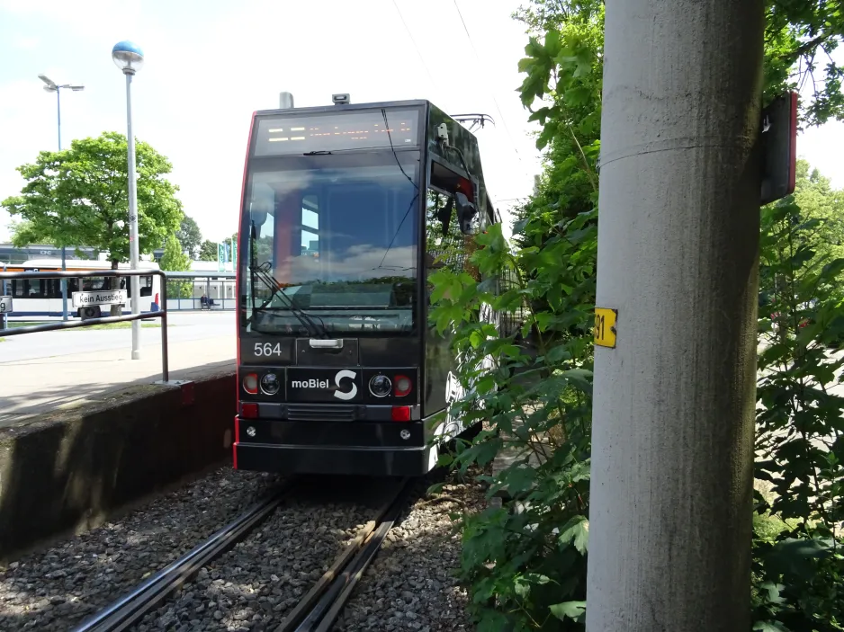 Bielefeld Straßenbahnlinie 3 mit Gelenkwagen 564 am Babenhausen Süd (2024)