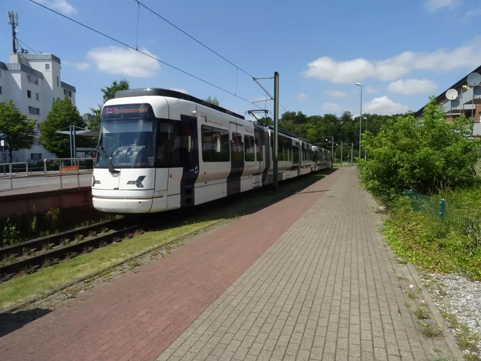 Bielefeld Straßenbahnlinie 4 mit Gelenkwagen 5011 "Holtkamp" am Lohmannshof (2022)