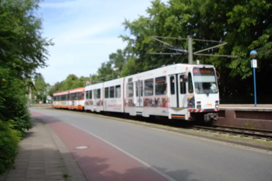 Bielefeld Straßenbahnlinie 4 mit Gelenkwagen 555 am Graf-von-Stauffenberg-Straße (2016)