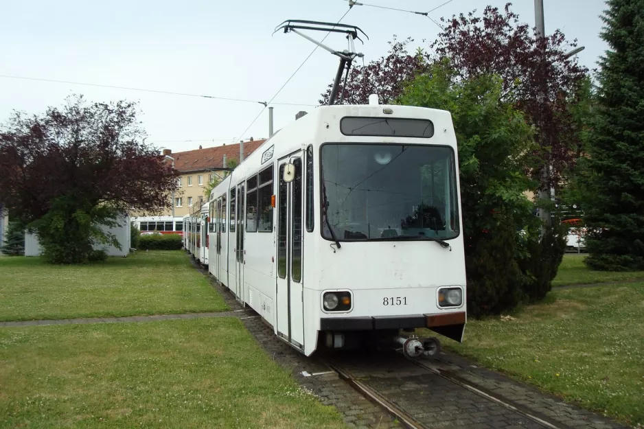 Braunschweig Gelenkwagen 8151 am Helmstedter Str. (2008)