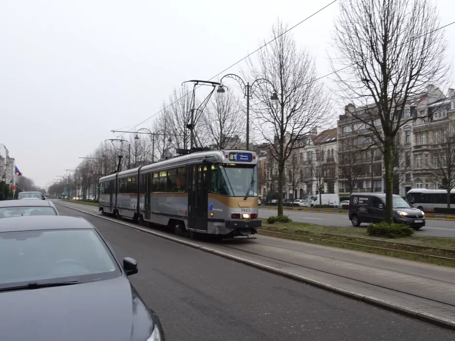 Brüssel Straßenbahnlinie 81 mit Gelenkwagen 7937nah Merode (2019)