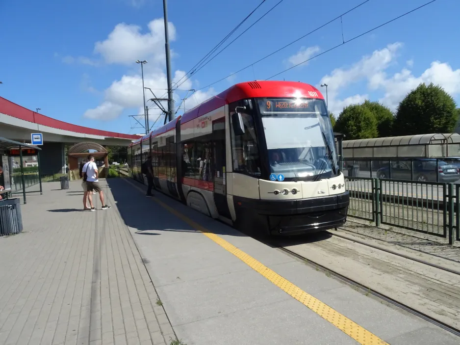 Danzig Straßenbahnlinie 9 mit Niederflurgelenkwagen 1011 "Daniel Gralath" am Brama Żuławska (2024)