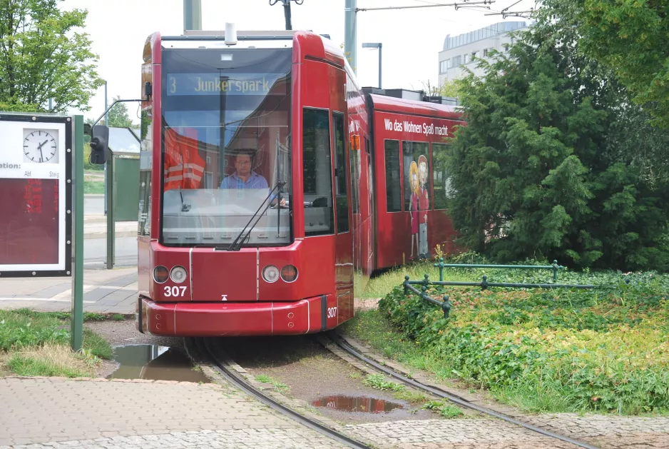 Dessau Straßenbahnlinie 3 mit Niederflurgelenkwagen 307 draußen Bauhaus Museum (2015)