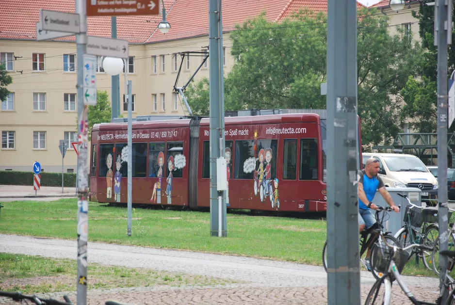 Dessau Straßenbahnlinie 3 mit Niederflurgelenkwagen 307nah Bauhaus Museum (2015)