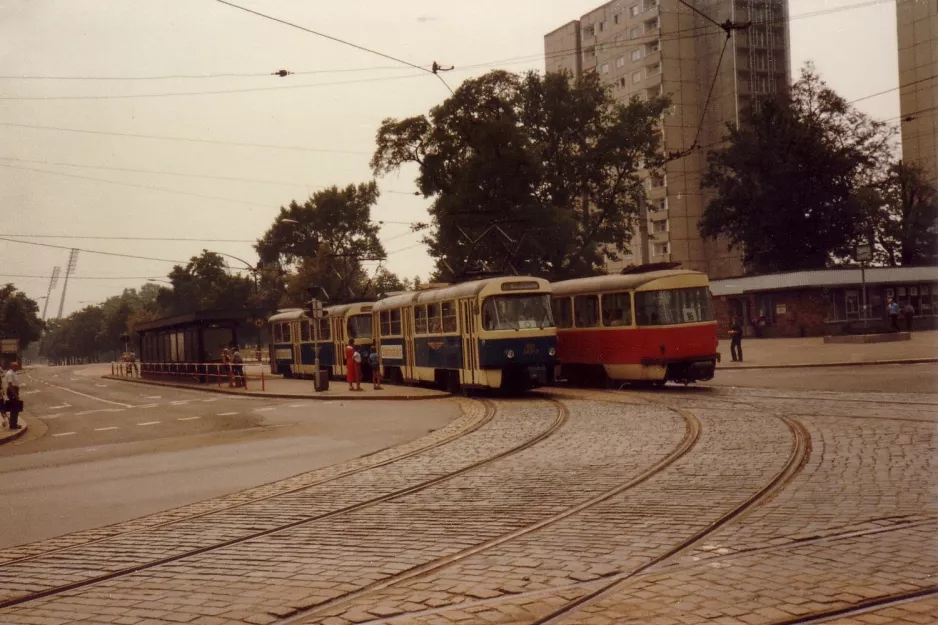 Dresden Stadtrundfahrt mit Triebwagen 222 243-3 am Straßburger Platz (1983)