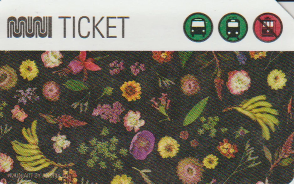 Erwachsenkarte für Muni Metro, die Rückseite (2018)