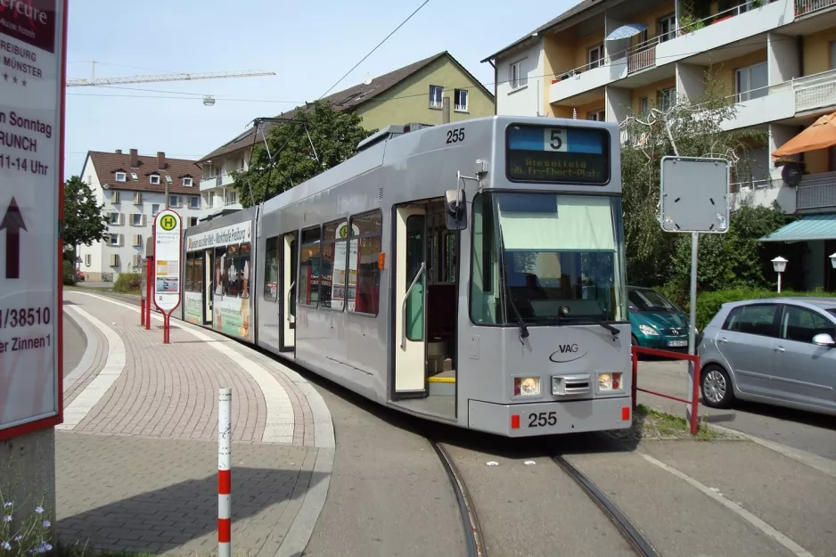 Freiburg im Breisgau Straßenbahnlinie 5 mit Gelenkwagen 255 am Hornusstraße (2008)