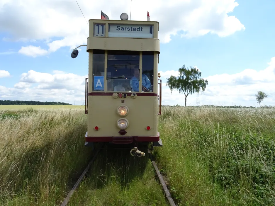 Hannover Aaßenstrecke mit Triebwagen 181 am Feld am Stichkanal (2024)