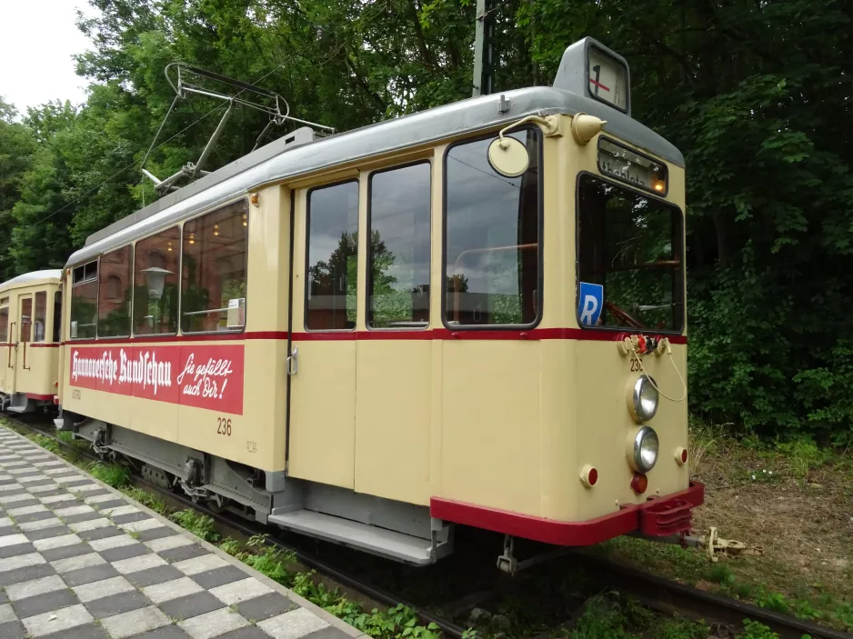 Hannover Hohenfelser Wald mit Triebwagen 236 am Straßenbahn-Haltestelle (2020)