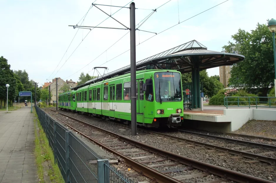 Hannover Straßenbahnlinie 5 mit Gelenkwagen 6203 am Stöcken (2008)