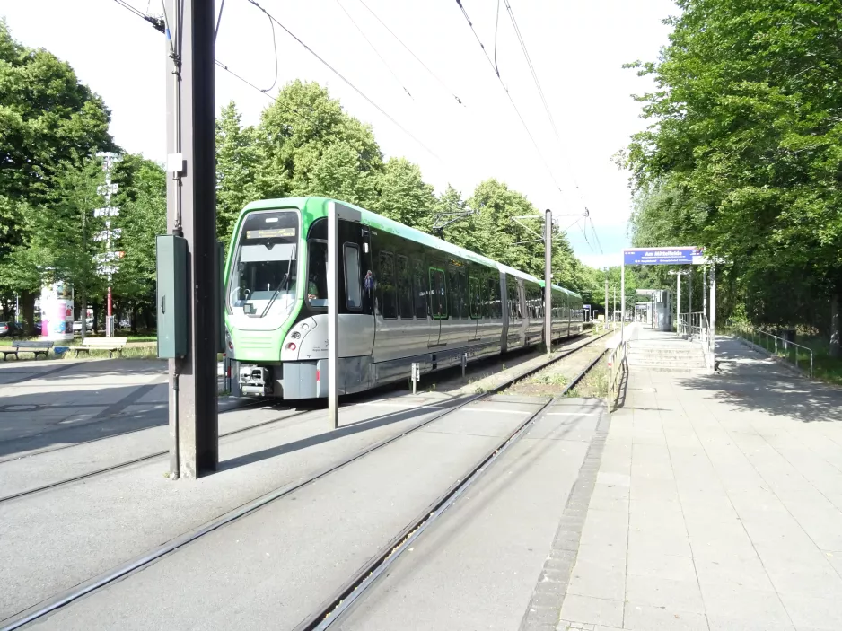 Hannover Straßenbahnlinie 8 mit Gelenkwagen 3104 am Am Mittelfeld (2020)