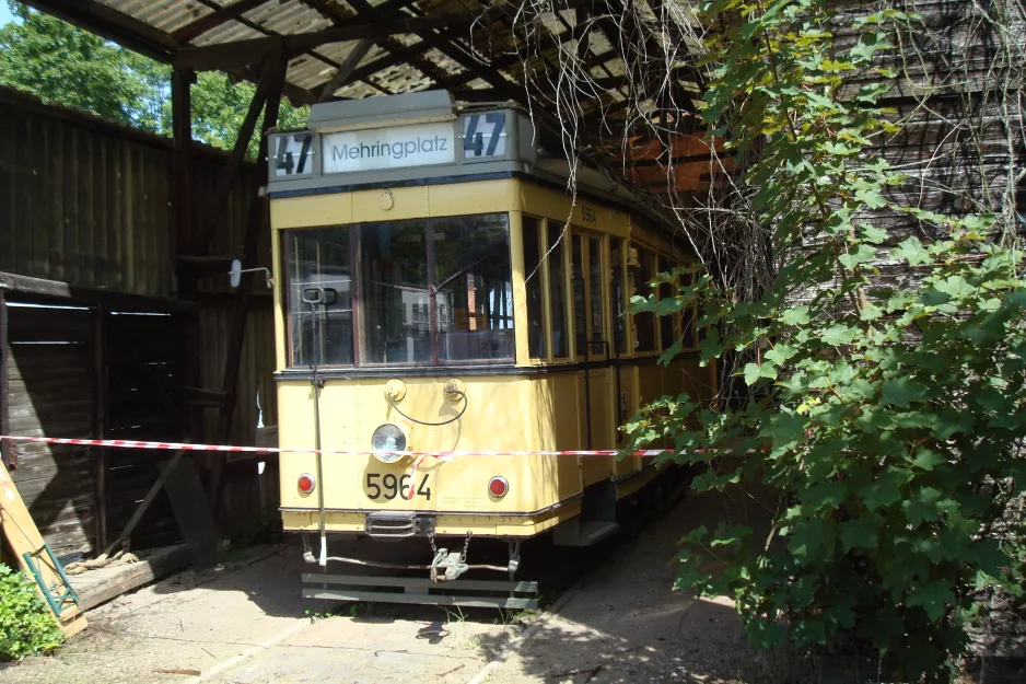 Hannover Triebwagen 5964 in der Lagerhalle Hannoversches Straßenbahn-Museum (2014)