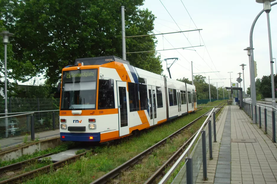 Heidelberg Straßenbahnlinie 26 mit Gelenkwagen 3269 am Messplatz (2014)