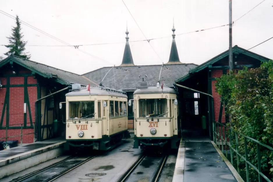 Linz Straßenbahnlinie 50 mit Triebwagen VIII am Bergbahnhof Urfahr (2004)