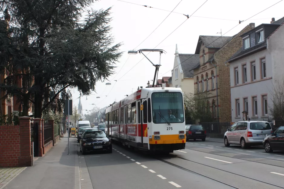 Mainz Straßenbahnlinie 50 mit Gelenkwagen 275nah Nerotalstr. (2009)