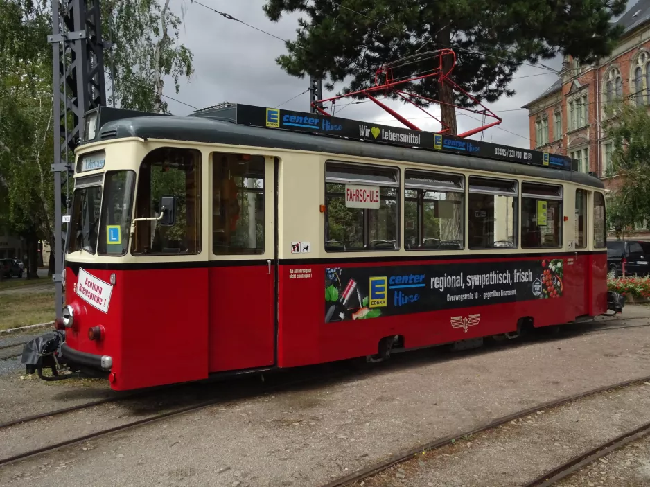 Naumburg (Saale) Triebwagen 51 vor Naumburger Straßenbahn (2023)