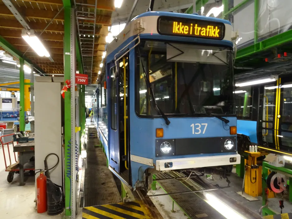 Oslo Gelenkwagen 137 innen Grefsen trikkebase (2024)