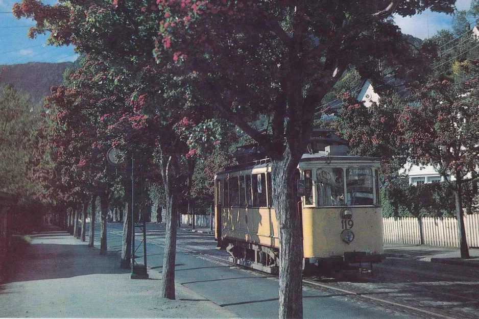 Postkarte: Bergen Straßenbahnlinie 2 mit Triebwagen 119 auf Årstadveien (1956)