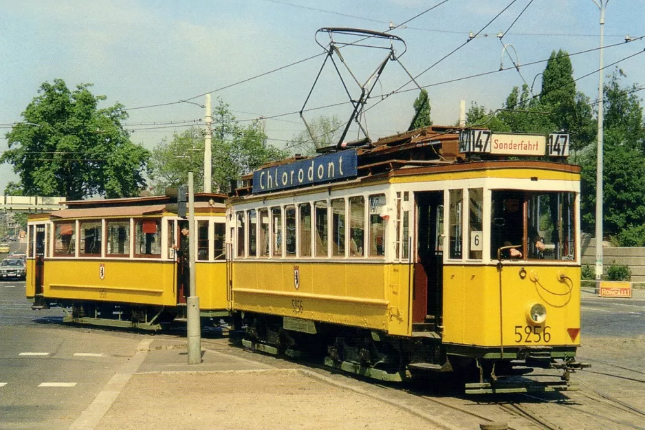 Postkarte: Berlin Triebwagen 5256 am Greifswalder Str. / Danziger Str. (1990)