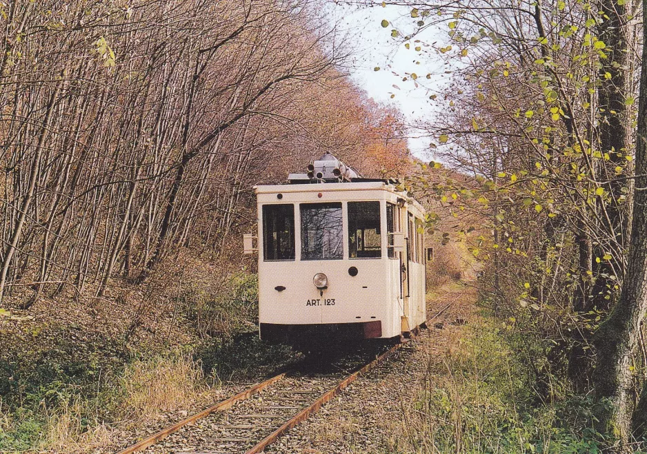 Postkarte: Erezée mit Triebwagen ART. 123nah Amonines et Dochamps (2010)