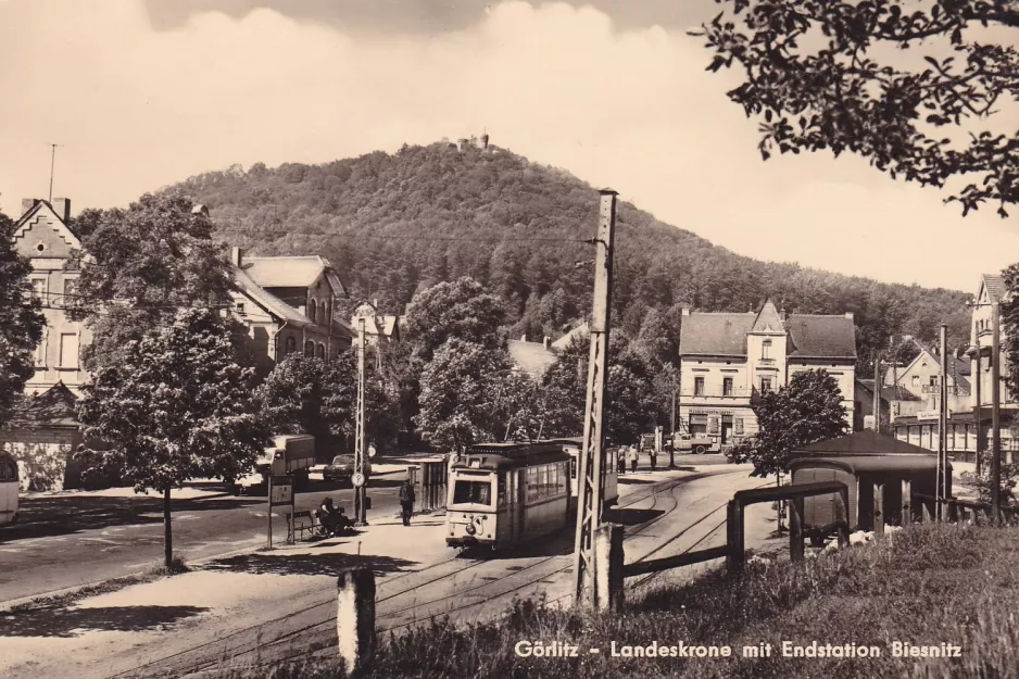Postkarte: Görlitz Straßenbahnlinie 2 am Biesnitz/Landeskrone (1960)