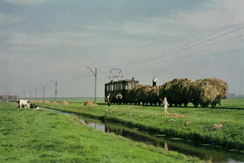 Postkarte: Haarlem Güterwagen HY 112 nahe bei Zunderdorp (1956)