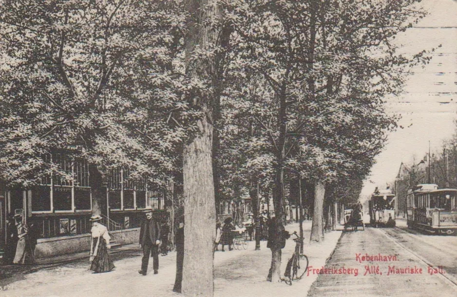 Postkarte: Kopenhagen Straßenbahnlinie 1 mit Offen Beiwagen 253 auf Frederiksberg Allé (1902)