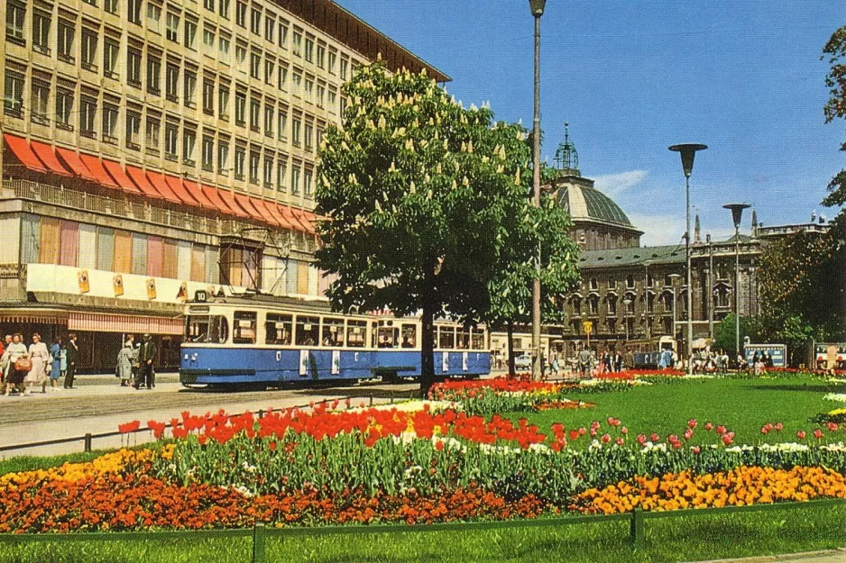 Postkarte: München Straßenbahnlinie 10 mit Triebwagen 972 nahe bei Stachus (1960)